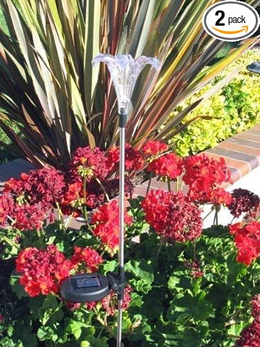 Solar Powered Garden Stake LED Light, Set of 2 (Lily Flower) RELIGHTABLE