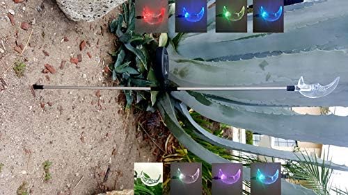 Solar Garden Stake Lights with Color Changing LED or Regular White LED Landscape Path Lights (Set of 2) (Celestial Moon) Ntertainment+House