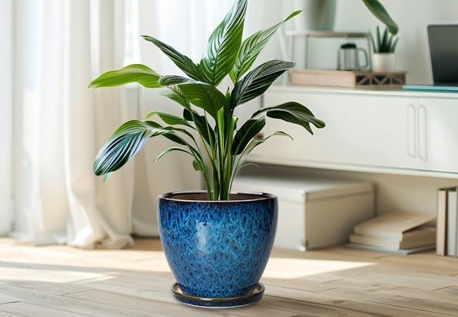 10 Inch Ceramic Planter Pot Round Plant Pot for Indoor Plants Outdoor Large Flower Pot with Drainage Hole and Saucer Blue EPFamily