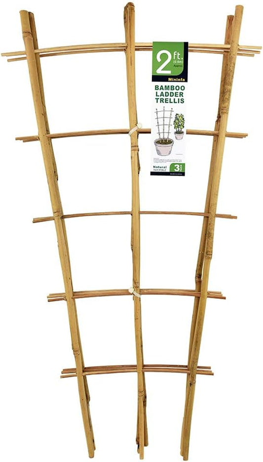Natural Bamboo Trellis 24 Inches Tall, Mininfa Garden Ladder Trellis, Plant for Climbing Plants, Vegetables, Pots - 3 Pack Mininfa