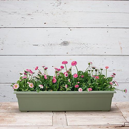 Novelty 16300 30" Flowerbox Sage, Inch Novelty