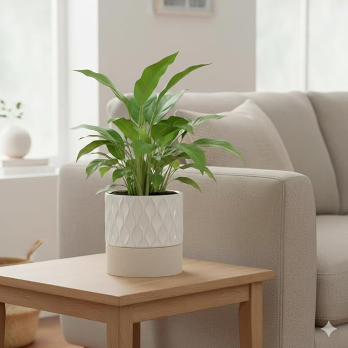 Nihow Self Watering Plant Pot for Indoor Plants: 6 Inch Ceramic Planter with Drainage Hole & Water Storage Plus - Cylinder Flower Pot with Wick for Herbs - Cream White & Brown Net Nihow