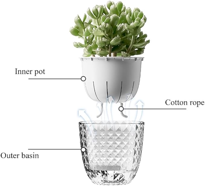 Self Watering Pots for Indoor Plants, Flower Pots, Self Watering Plant Pot-3pcs 6inch Clear Etvski
