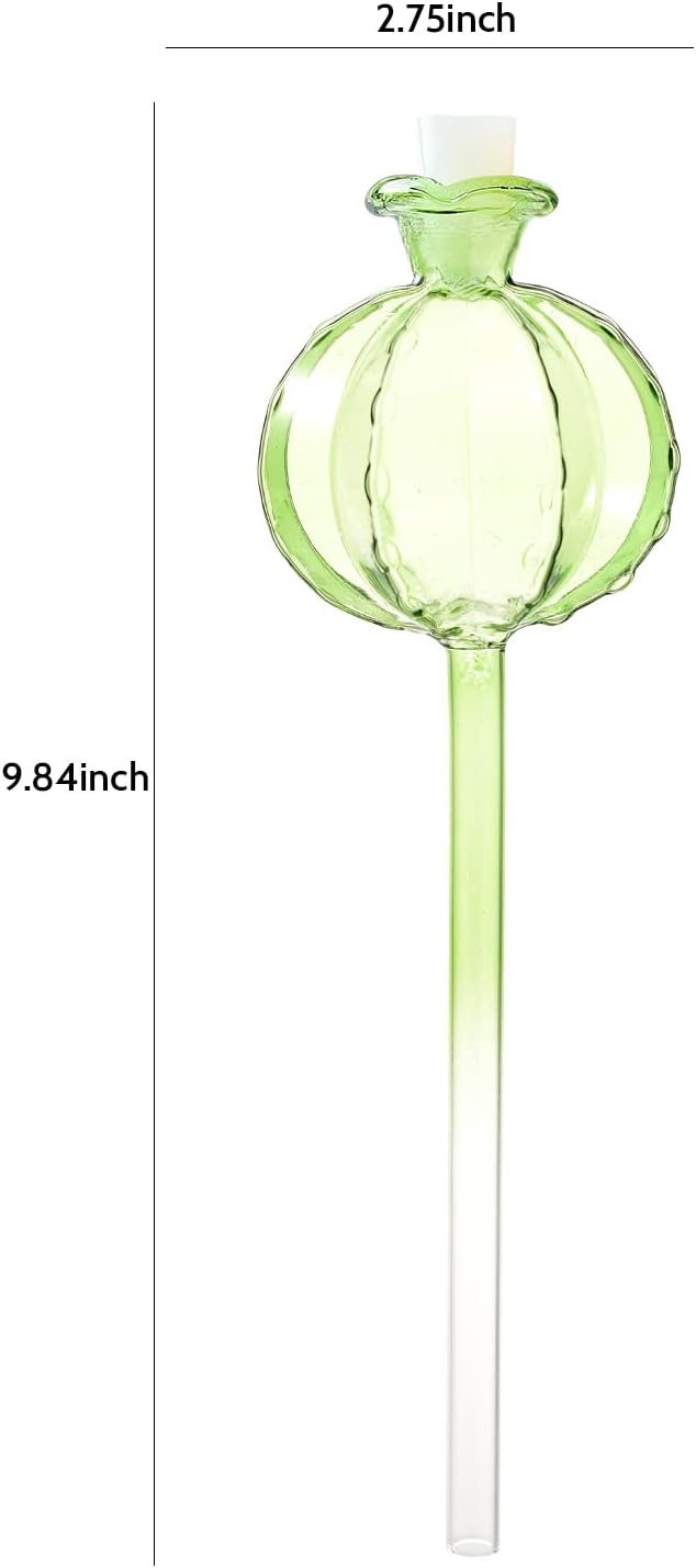 Self Watering Planter Insert. Plant Watering Devices. 3-Pack Cactus Plant Watering Bulbs. Plant Watering Globes. Plant Gifts Plant Lover Gifts KGCCIZI