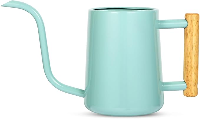 Watering Can Indoor Plants, 35 oz/1000 ml Metal Stainless Steel Watering Can Pot with Long Spout for Indoor House Plants Bonsai Outdoor Garden Flower Decorative (Green Rootora