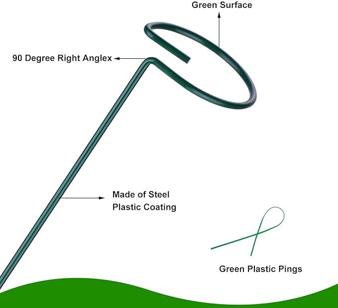 6PCS Single Stem Plant Support Stakes, 16 Inch Monstera Plant Support with 50 PCS Twist Ties, Garden Open Ring Plants Stake, Versatile Plants Stakes for Amaryllis, Rose, Tomatoes, Lily, Peony, Orchid Numyew