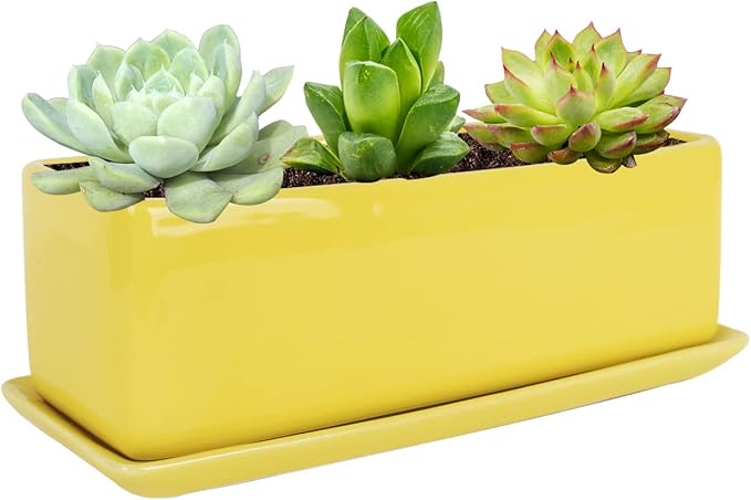 Vencer 12 Inch Rectangular Modern Minimalist Ceramic Succulent Planter Pot - Window Box with Saucer,Office Desktop Potted Stand,Yellow,VF-0135Y Vencer