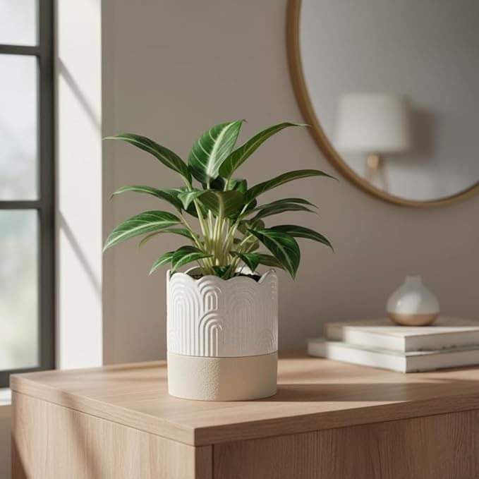 Nihow Self Watering Plant Pot: 4.5 Inch Ceramic Planter with Drainage Hole & Water Storage Plus for Indoor & Outdoor Plants - Cylinder Flower Pot for Herbs/Violets - Beige & Nature Nihow