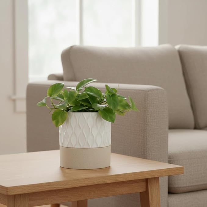 Nihow Self Watering Plant Pot: 4.5 Inch Ceramic Planter with Drainage Hole & Water Storage Plus for Indoor & Outdoor Plants - Cylinder Flower Pot for Herbs/Violets - Cream White & Brown Net Nihow