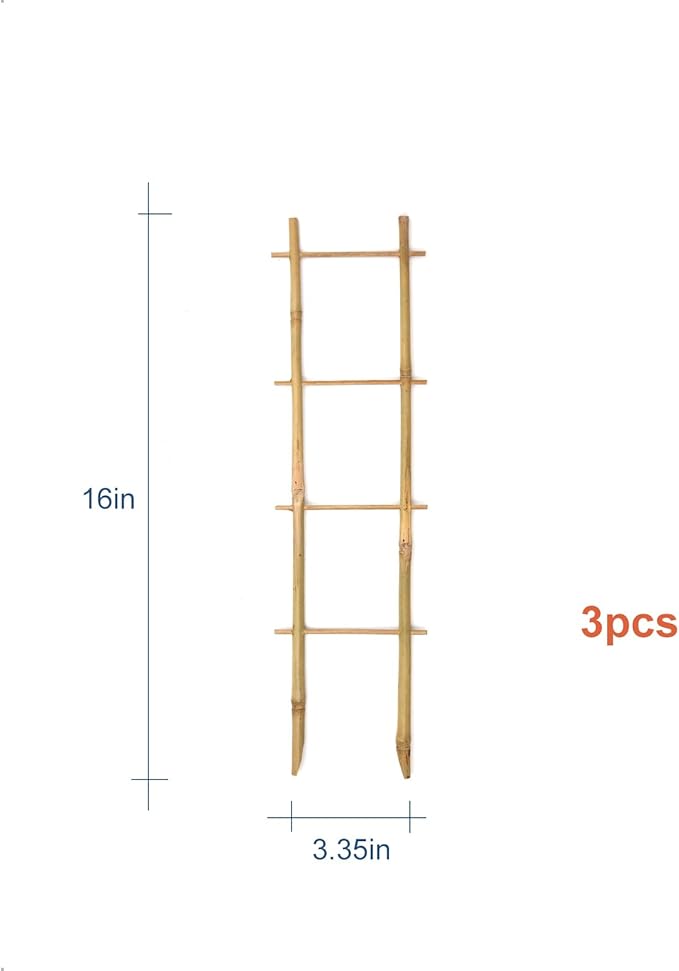 3Pack Bamboo Trellis 16 Inch Ladder Shaped Small Plant Trellis for Indoor Potted Plants Climbing Monstera Orchid Vine Hoya Houseplant Coloringyourleisuretime