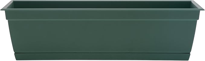 Bloem Dayton Window Box Planter: 24" - Turtle Green - 100% Recycled Durable Plastic Box, Elevated Feet, for Indoor and Outdoor Use, Gardening, 5 Gallon Capacity Bloem