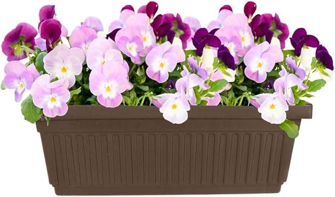The HC Companies 18 Inch Venetian Rectangular Window Planter Box - Lightweight Plastic Indoor Outdoor Plant Pot with Drainage for Windowsill, Herbs, Flowers, Chocolate (Pack of 2) TheHCCompanies