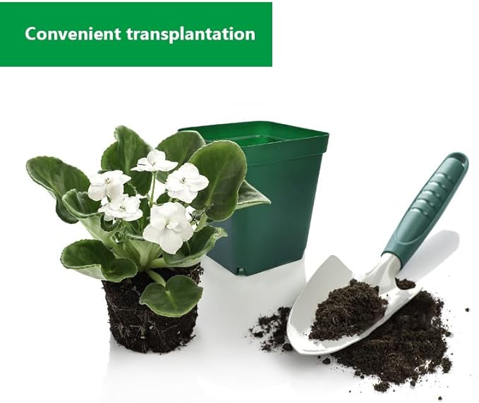 Square Nursery Succulent Pots 4 Inches 60 Pcs Deep Flower Plant Nursery Seedling Grow Pots Plastic with Drainage (Green, 4Inches, 60Pcs) RooTrimmer