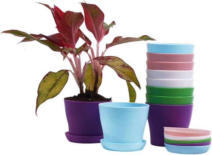 TDHDIKE 10 Pcs Plastic Planters Indoor Pots, Mini Flower Seedlings Nursery Flower Pot with Pallet, Modern Decorative Gardening Containers TDHDIKE