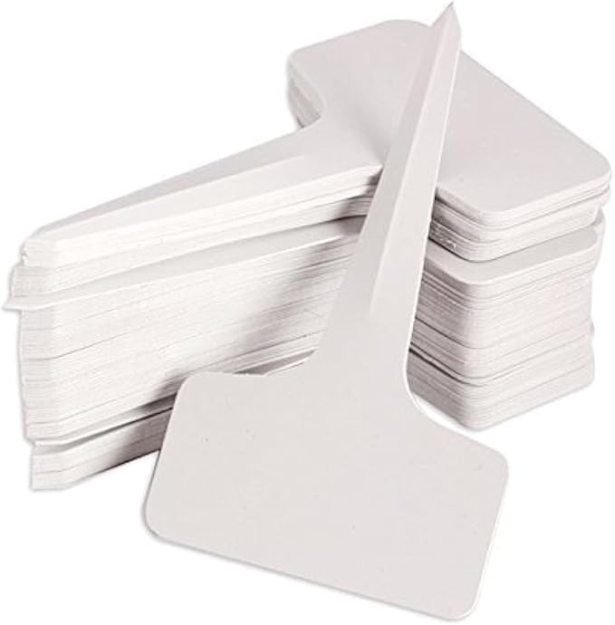 KINGLAKE 100 Pcs 6 x10cm Plastic Plant T-Type Tags Nursery Garden Labels KINGLAKE