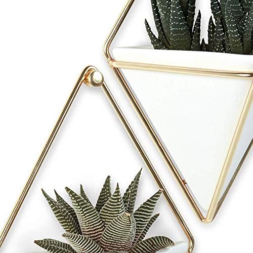 Umbra Trigg Hanging Planter Vase Wall Decor, Set of 2 Pots Containers for Succulents, Cactus, Faux Plants, and More, Small, White/Brass Umbra