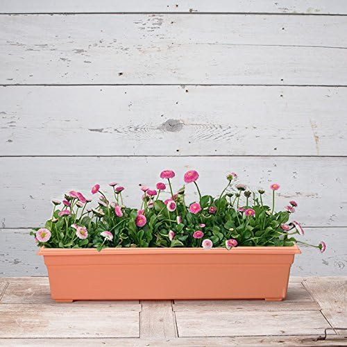 Root & Vessel 16305 Countryside Planter, 30-Inch, Terracotta Novelty