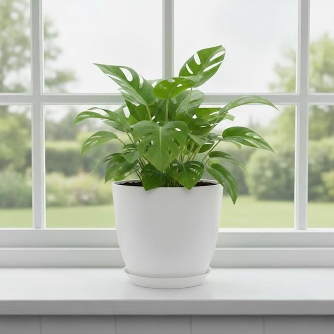 Plant Pots 8 Inch Set of 6, Flower Pots with Drainage Holes and Saucer, Plastic Garden Planters for Indoor & Outdoor Plants (White) Vanslogreen