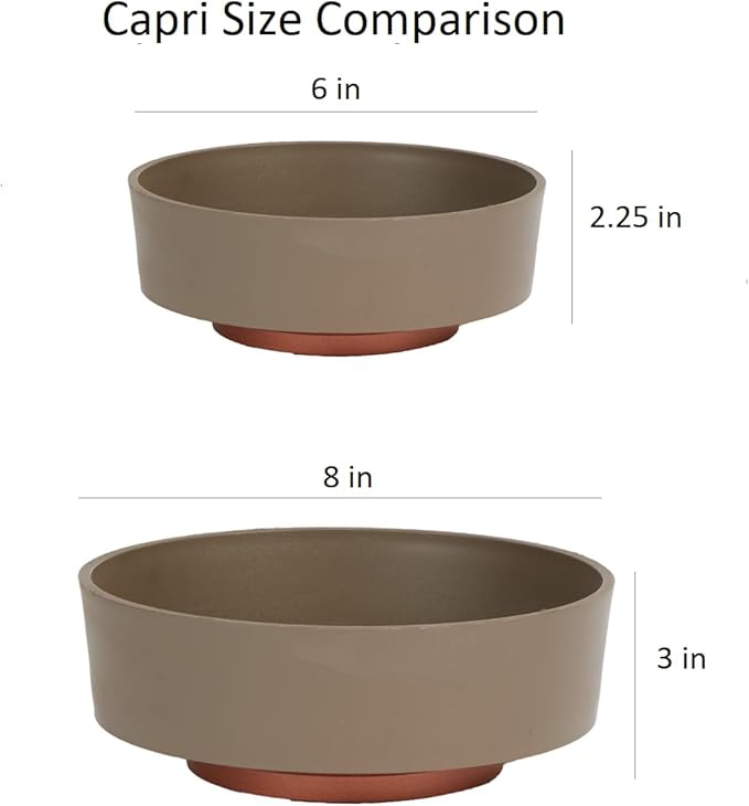 The HC Companies 6 Inch Round Plastic Succulent Capri Bowl 6"x6"x2.25" in Artisan Taupe with Copper Bottom Color TheHCCompanies