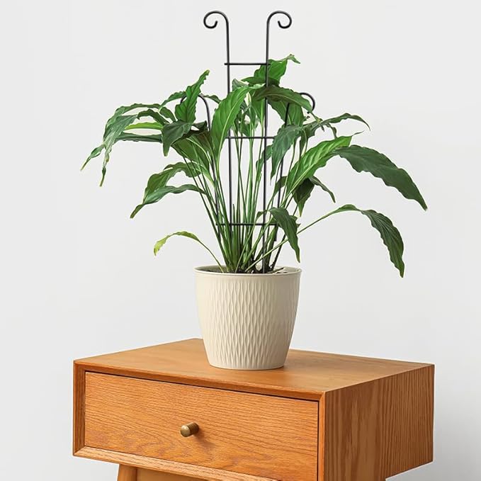 Coomin 23in Taller Plant Trellis for Climbing Plants Indoor, Sturdy Houseplant Trellis for Potted Plants with Ties, Vine Plant Support for Monstera Pothos Ivy, Plant Decor, 2P COOMIN