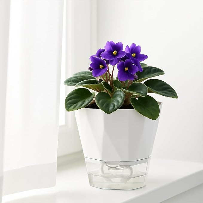 6 Pack Self Watering Pots for Indoor Plants, 5 Inches Self Watering Planters Small African Violet Self Watering Clear Pots for Plants Herb Orchid Flower Houseplant Pots, White Planterhoma