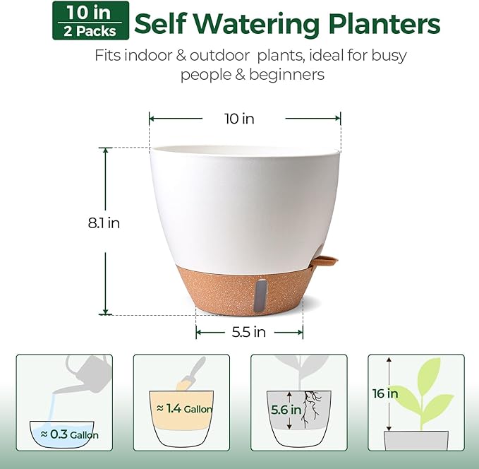 2 Pack 10 Inch Self Watering Pots - Water Level Indicator & Deep Reservoir, Mess-Free Planter for Busy People, Beginners & Gardeners, Fiddle Leaf Fig, Monstera, ZZ Plants, Indoor Outdoor Use (White) T4U