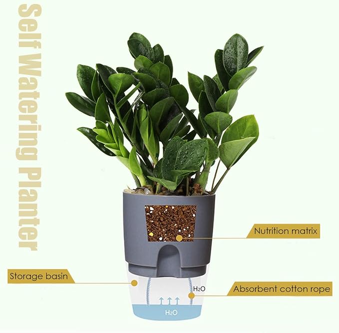 Vanavazon 6 Inch Self Watering Planter Pots for Indoor Plants, 3 Pack African Violet Pots with Wick Rope-Grey Vanavazon