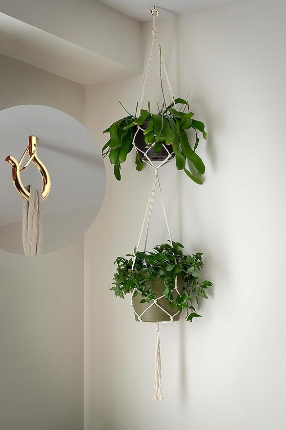 PlusRoc 20 Pack Ceiling Hooks for Hanging Plants Outdoor String Lights Heavy Duty, 2.2 Inch Eye Hook Screw in Cup Hooks Q-Hanger for Patio Lights, Wall Wood Fence Deck Mount(Gold) PlusRoc