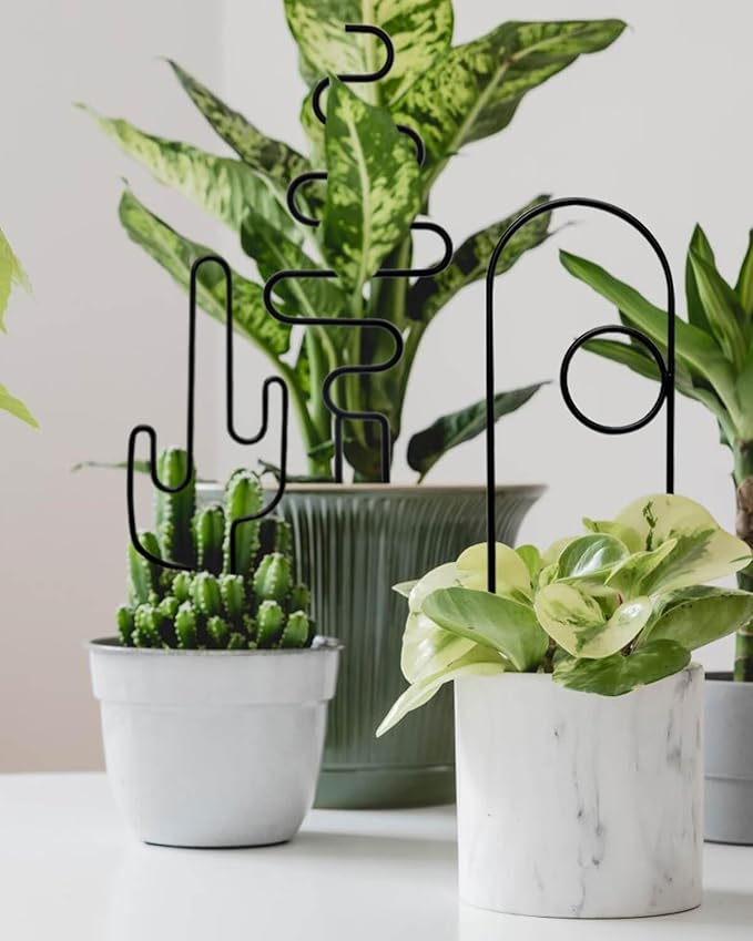 Small Plant Trellis for Climbing Plants Indoor - 13.8 Inch Trellis Indoor with Different Patterns for Vine Ivy Flower Plant Support, Metal Garden Trellis for Potted Plants, Set of 4 (Black) vensovo