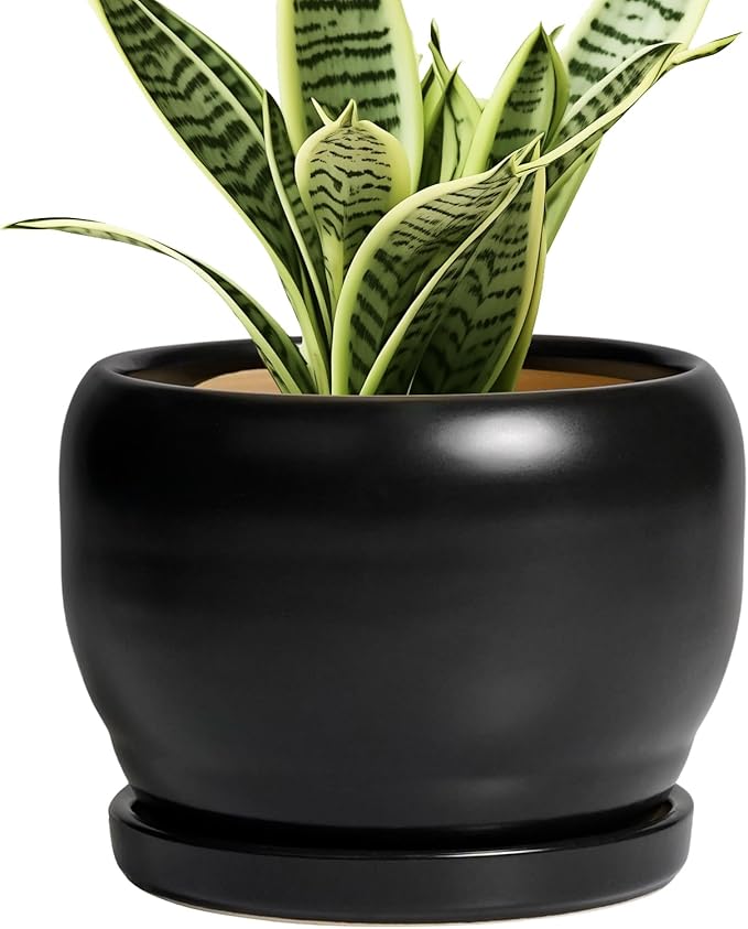 SQOWL Ceramic Plant Pot - 6 Inch Planter for Indoor Plants, Round Flower Pot with Drainage Hole and Saucer, Modern Succulent Planter Outdoor, House Decor, Plant Lovers Gifts, Black SQOWL