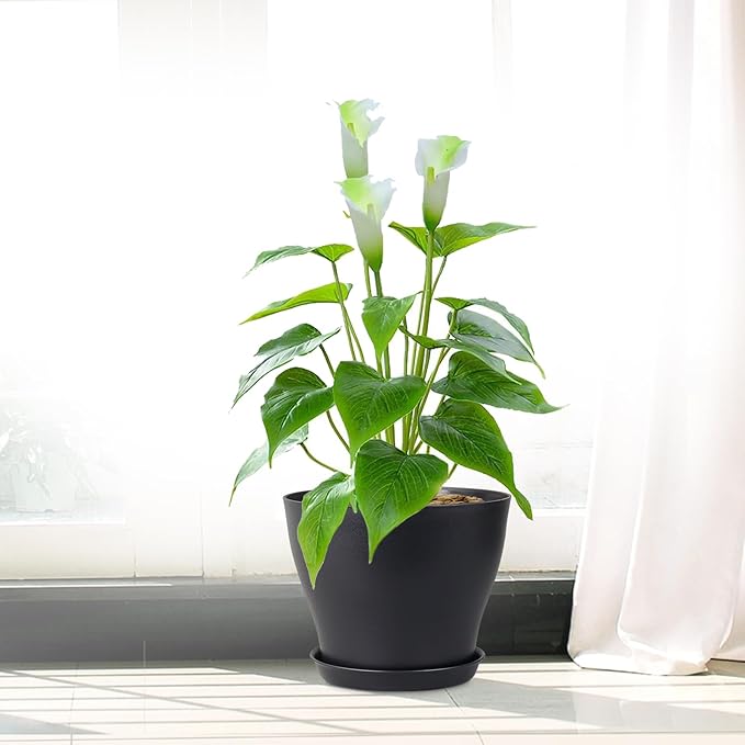 6 inch Plastic Nursery Pots, 16 Pack Plant Pots for Small Indoor Outdoor Plants, Flower Pots with Drainage Holes and Saucers, Decorative Seedling Starter Planters for House Plants, Black Meowell
