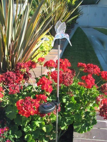 Solar Garden Stake Lights with Color Changing LED or Regular White LED Landscape Path Lights (Set of 2) (Hummingbird (Wing up)) Ntertainment+House