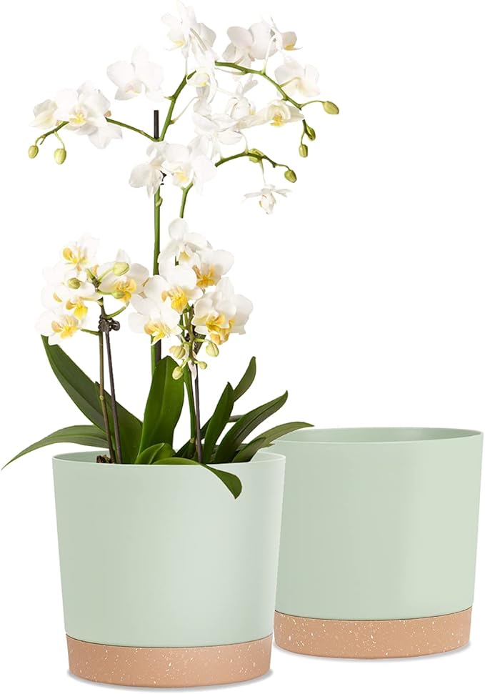 kubvici Indoor Plant Pots Set of 2 Planters 8 inch Plastic Planter with Hole & Saucer Modern Decorative for Outdoor Garden Home (Green, 8 inch) kubvici
