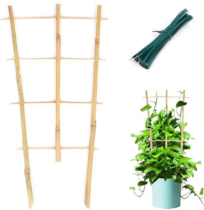 Plant Trellis Indoor, 3 Pack Bamboo Trellises, 16in Fan-Shaped Trellis for Potted Plants Climbing Plants Hoya Vine Ivy Cambaverd