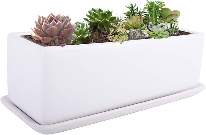 Vencer 12 Inch Rectangular Modern Minimalist Ceramic Succulent Planter Pot - Window Box with Saucer,Office Desktop Potted Stand,White,VF-0135 Vencer