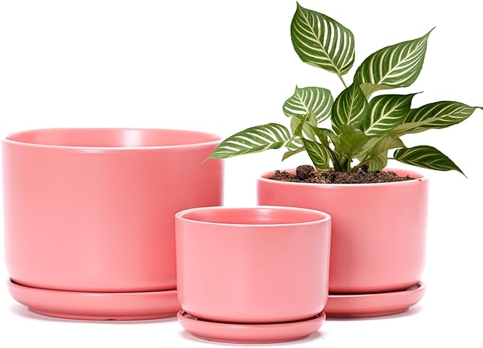 Ton Sin Ceramic Plant Pot with Drainage Hole and Saucer for Indoor Plants, Decorative Round Flower Pot for House Plants, Succulent Orchid Planter(Matte Orange) TonSin