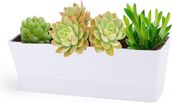 GREANER Herb Planter with Tray, 1 Pack 12x3.8 Inch Rectangle Window Box, Indoor Succulent Flowers Succulent Plastic Pot for Windowsill, Garden, Balcony, Office Outdoor Decoration - White GREANER