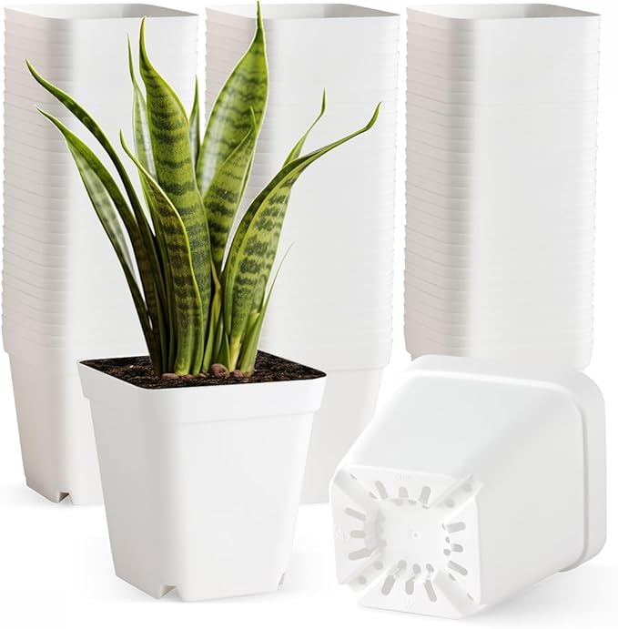80 Pcs Nursery Pots 4 Inch, Plastic Seed Starting Pot with Drainage Holes, Small Sturdy Seedling pots for Planting, Succulents, Transplanting, Cuttings (White) BTPLASTIK