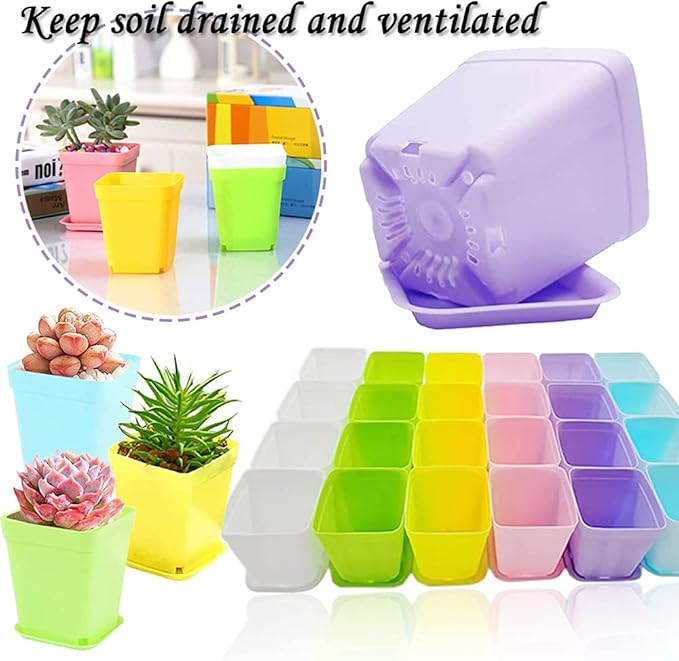Haawooky 48 PCS 3 Inch Colorful Plastic Plant Pot,Plastic Square Nursery Pots,Seedling Nursery Pots with Saucers for Garden,Home,Office,Balcony Decor,Garden Gifts Haawooky