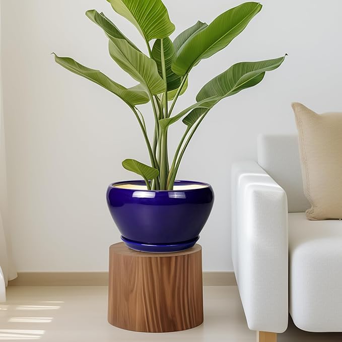 Ceramic Pot for Plants - 11 Inch Modern Round Indoor Planter with Drainage Hole and Planter Saucer for Flowers, Patio Office Home Room Decor, Gardening Gifts for Women & Men, Blue Ceramicfor