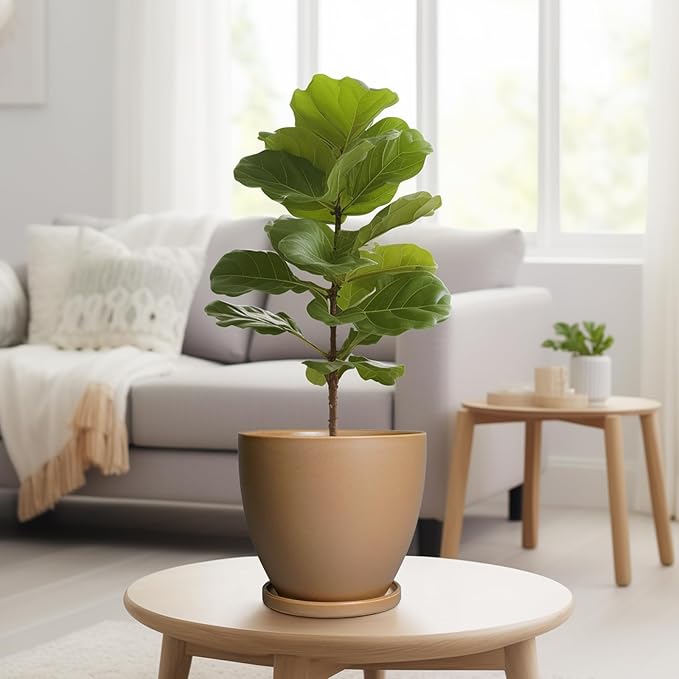 Ceramic Pots for Plants - 8 Inch Planter, Indoor Plant Pot with Drainage Hole and Saucers, Modern Flower Planter, Home Garden Patio Bathroom Porch Room Decor, Brown EPFamily