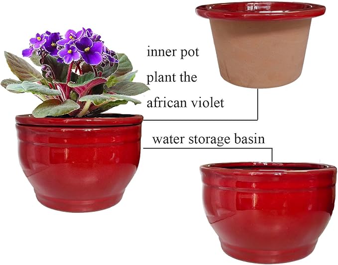 African Violet Pots Self Watering Round Ceramic Violet Pot (red, 6 inch) Dphagesy