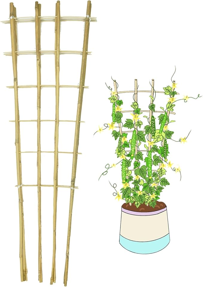 Natural Bamboo Trellis, 4Feet,3Pack,Fan-Shaped Plant Support Trellis for Outdoor and Indoor Potted Climbing Plants,Vegetables, Cucumber, Tomato, Hoya, GUANGYE