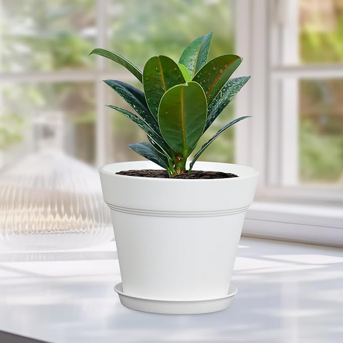 4 inch Small Plastic Nursery Pots, 16 Pack Plant Pots for Indoor Outdoor Plants, Flower Pots with Drainage Holes and Saucers, Decorative Seedling Starter Planters for House Plants, White Meowell