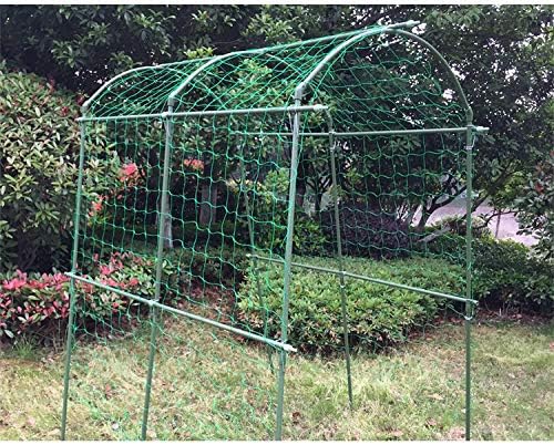 Pack of 2 Cucumber Tomato Trellis Netting, Heavy Duty Garden Netting Support for Climbing Plants, Pea, Grape, Bean, Fruit, Vegetables - 4" Mesh Size - 6Ft x 16.4Ft Zivisk