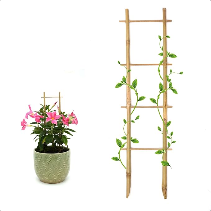 3Pack Bamboo Trellis 16 Inch Ladder Shaped Small Plant Trellis for Indoor Potted Plants Climbing Monstera Orchid Vine Hoya Houseplant Coloringyourleisuretime