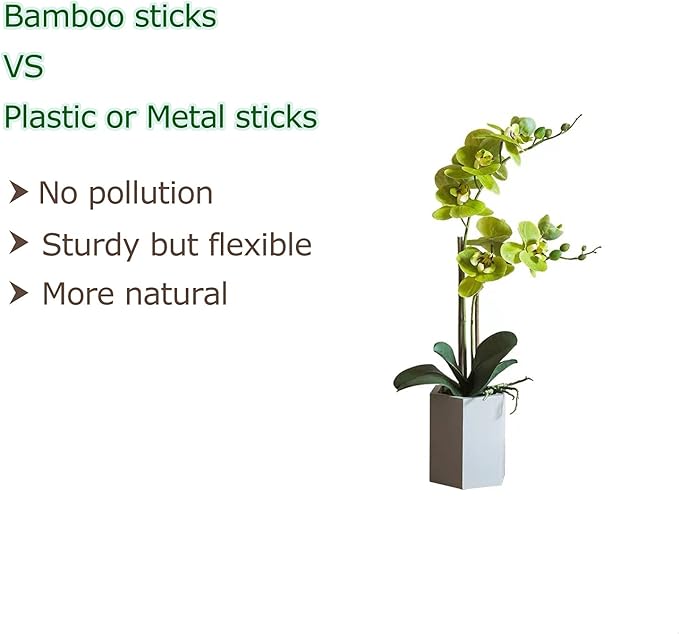 40pcs Natural Bamboo Sticks for Indoor and Outdoor Plants, 16 Inch Plant Support Stakes for Tomato, Beans, Potted Plants and Vegetable Cambaverd