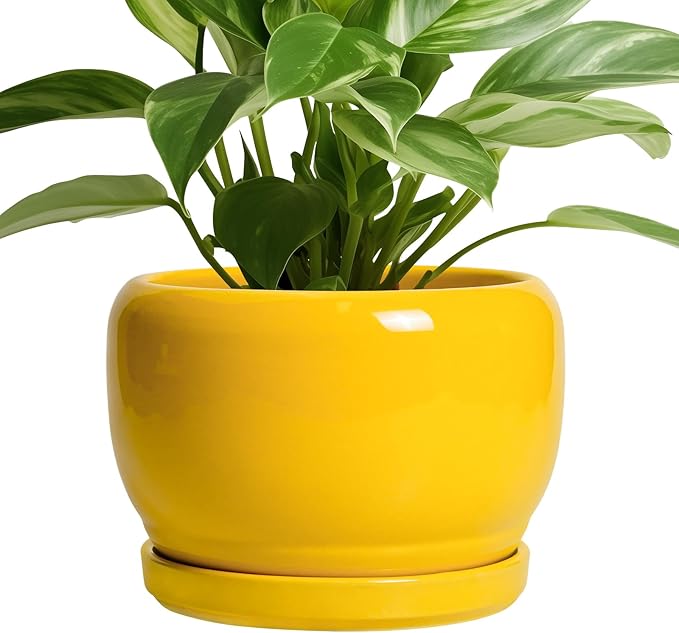 SQOWL Ceramic Plant Pot - 8 Inch Planter for Indoor Outdoor, Decorative Plant Pot with Drainage Hole and Saucer, Modern Round Planter for Flower, Desk Decor, Housewarming Gifts, Yellow SQOWL