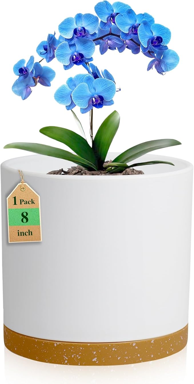 8 Inch Cylinder Flower Pots for Indoor Outdoor Plants, Medium Deep Plant Pots with Drainage Holes & Saucer, Decorative Plastic Planter Pots for Garden House Plants, White with Brown WSMKSZ