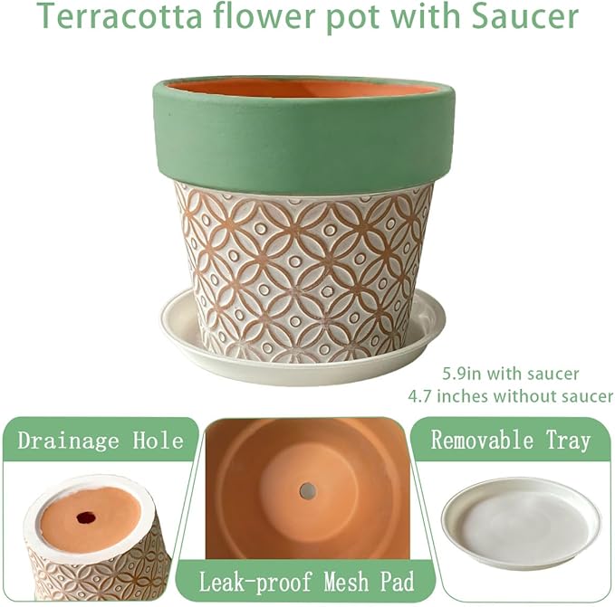 Terracotta Plant Pots Set of 2-4.7 Inch Vintage Pattern Clay Flowerpots with Green Rim & Drainage Holes, Decorative Terra Cotta Pots for Indoor Outdoor Garden Home Decor Rootora